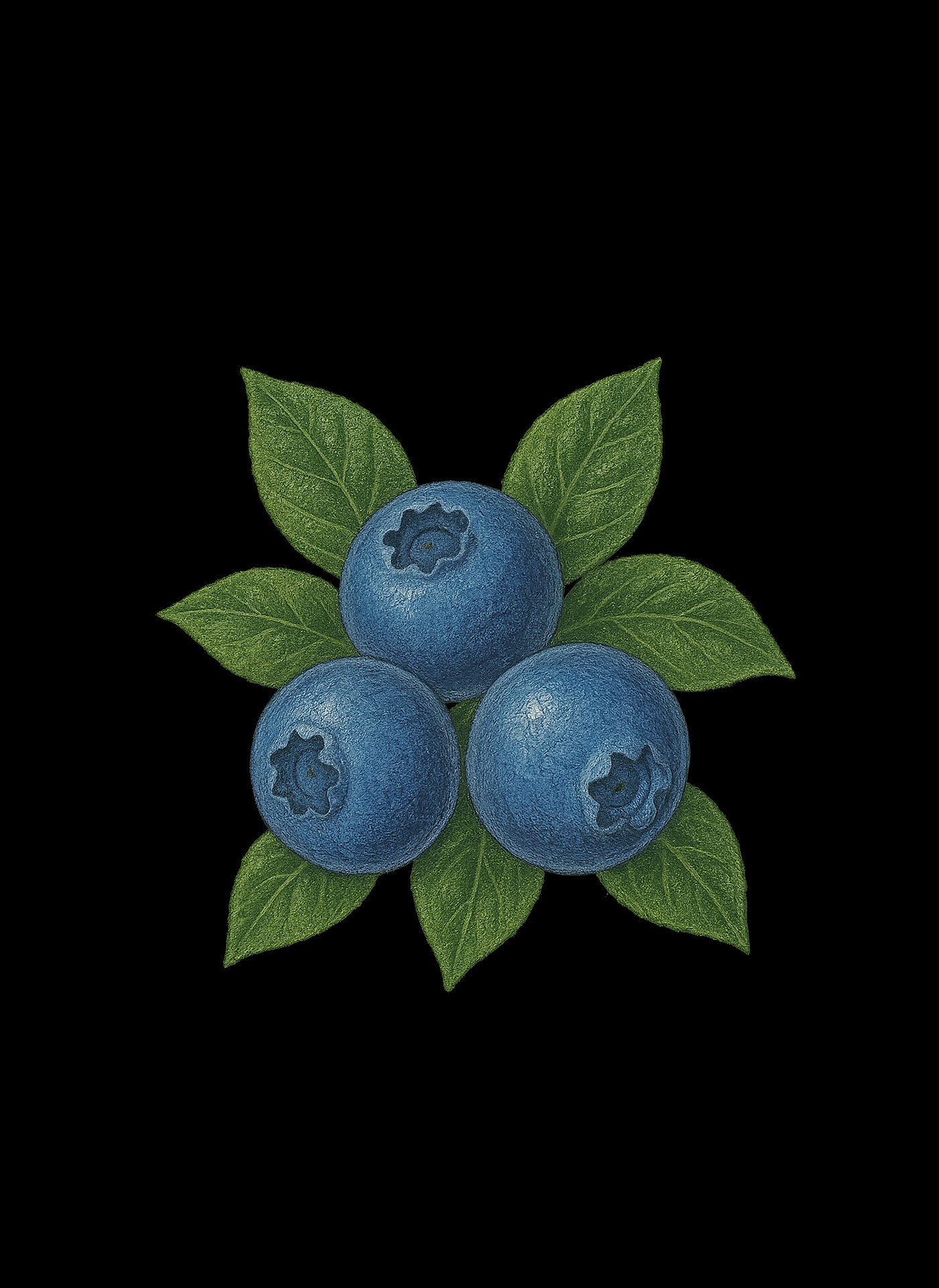 Luvio identity — jam jar with modern label design