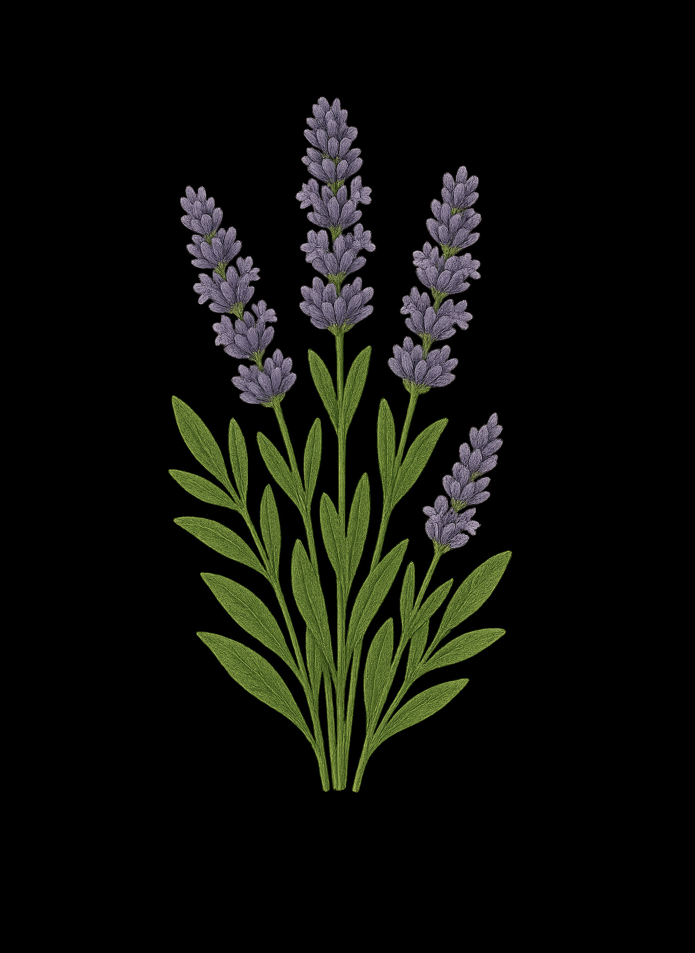 Luvio jam gift set — modern packaging and botanical artwork